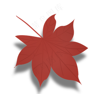 秋天枫叶秋叶红叶落叶