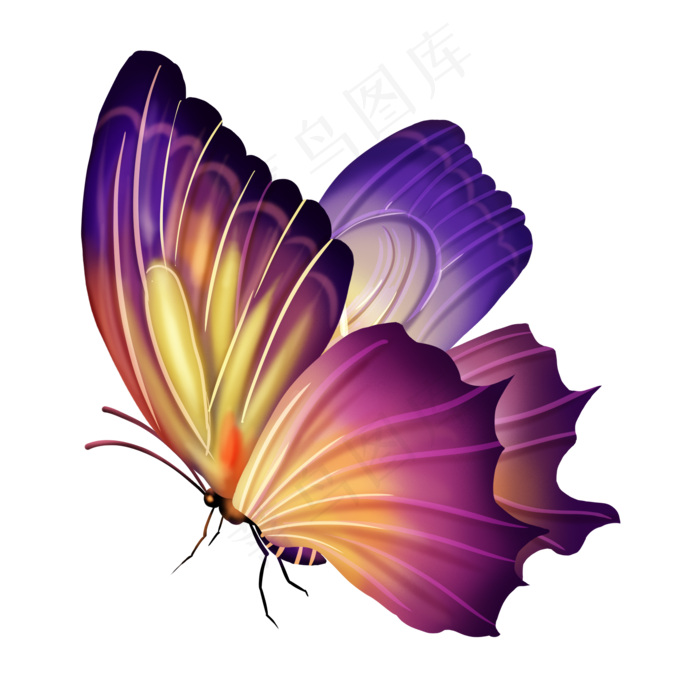 春天颜色艳丽的蝴蝶写实,免抠元素