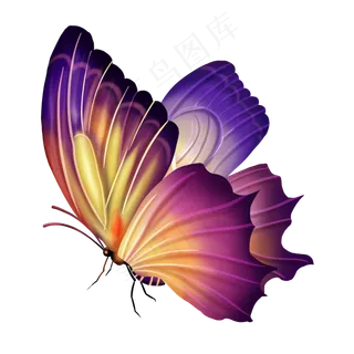 春天颜色艳丽的蝴蝶写实,免抠元素