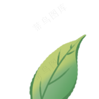 春天植物绿叶下载