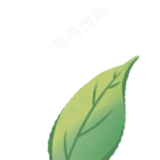 春天植物绿叶下载