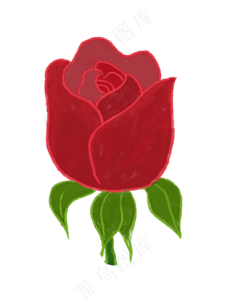 情人节玫瑰花朵