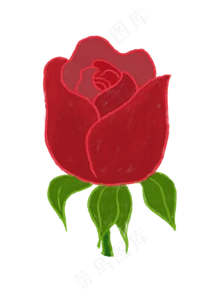 情人节玫瑰花朵