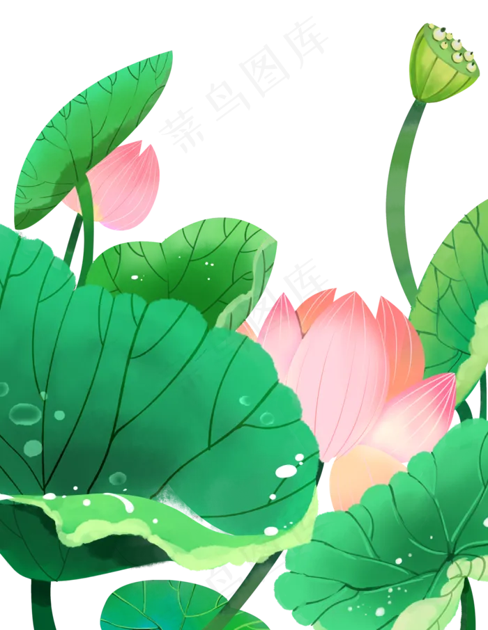 荷叶荷花(1547X2000(DPI:300))psd模版下载