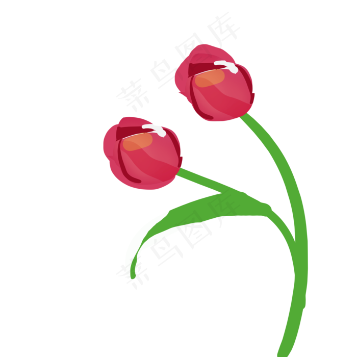 粉色郁金香花梦幻郁金香(2000X2000(DPI:300))psd模版下载