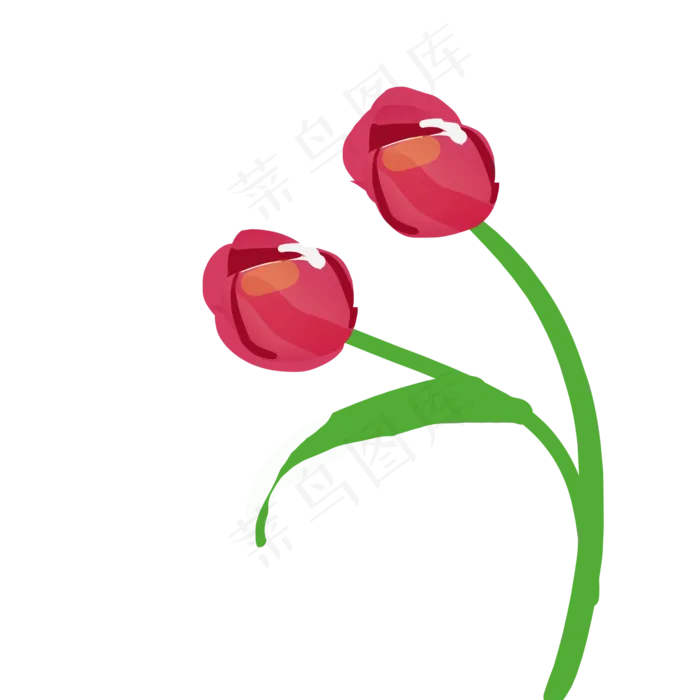 粉色郁金香花梦幻郁金香