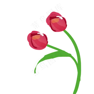 粉色郁金香花梦幻郁金香