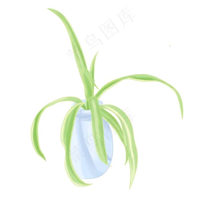 绿植手绘花瓶吊兰(2050X2050(DPI:299))psd模版下载