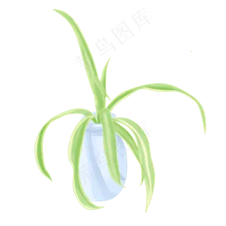 绿植手绘花瓶吊兰