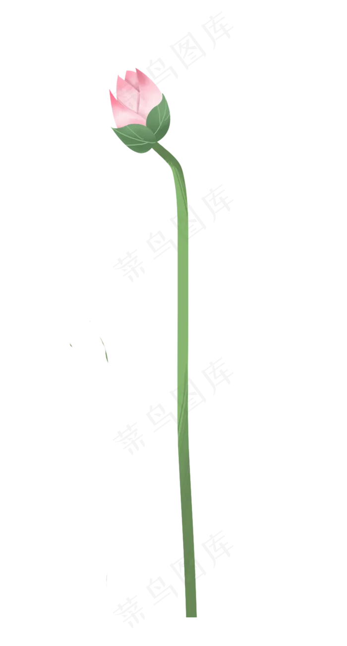 一朵荷花(850X1579(DPI:300))psd模版下载