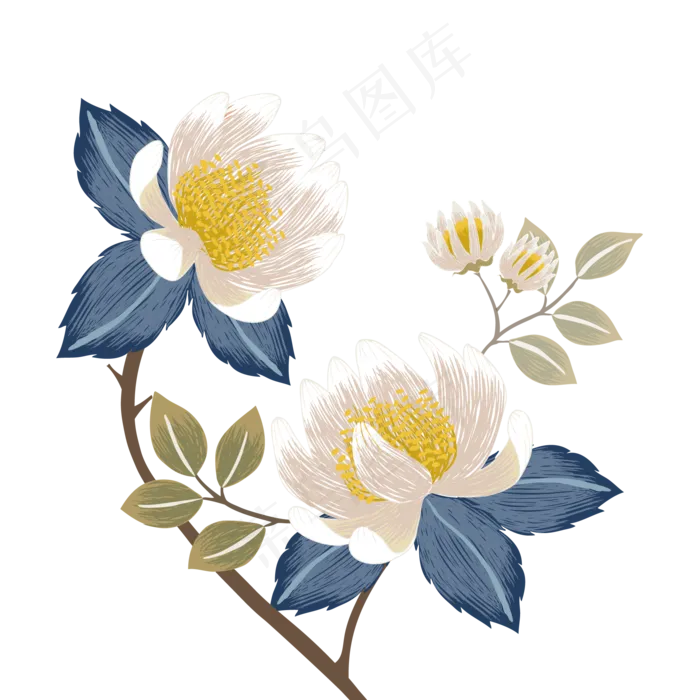 手绘花昙花简笔画小清新(2000X2000(DPI:300))ai矢量模版下载