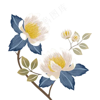 手绘花昙花简笔画小清新