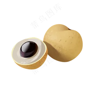 桂圆手绘png免抠