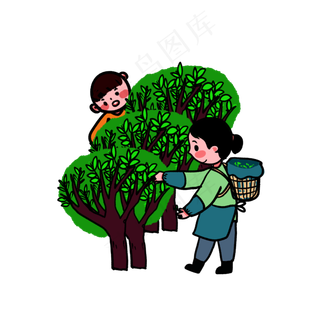 二十四节气习俗谷雨摘茶谷雨茶P