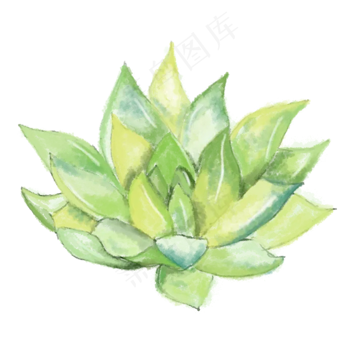 卡通绿色植物免抠图(2000X2000(DPI:300))psd模版下载