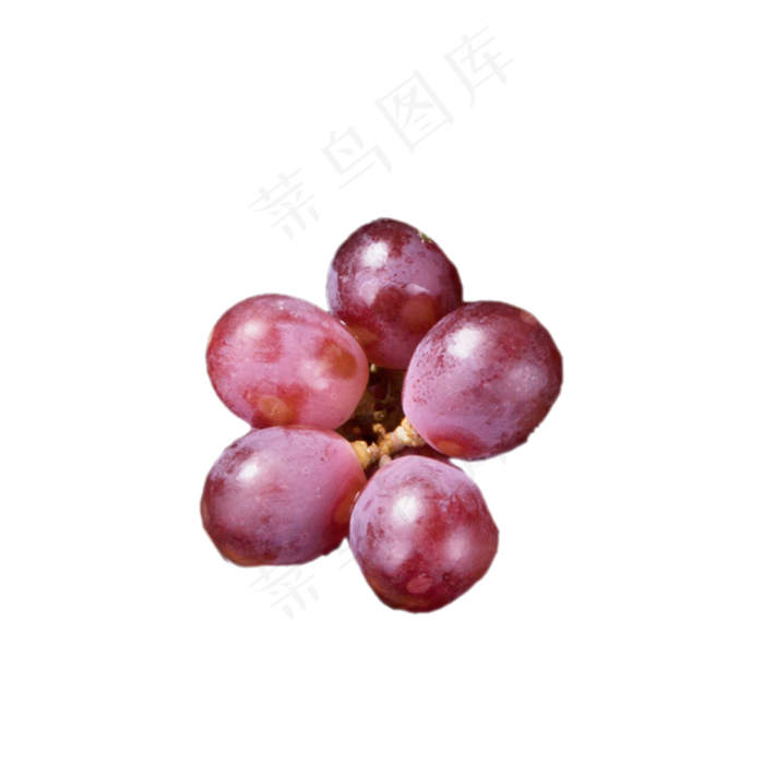 红色的葡萄免抠图