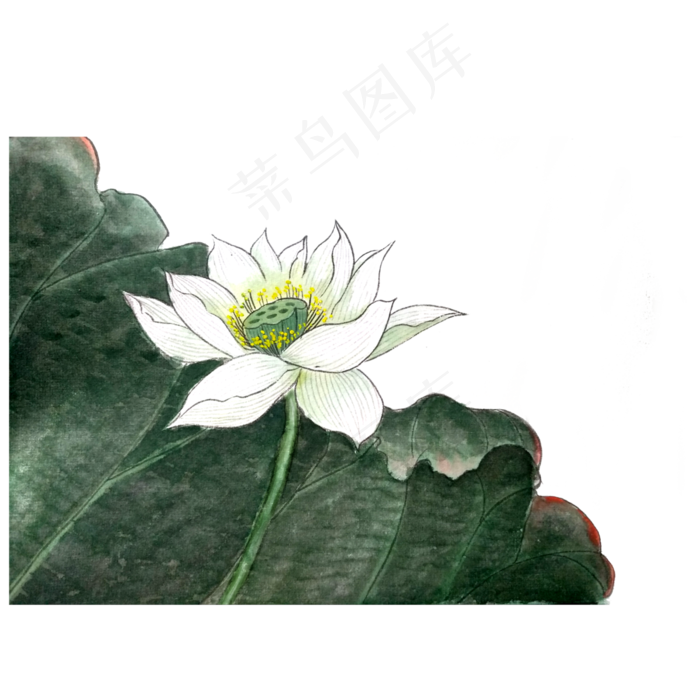 水墨荷花莲花PNG变色荷叶工笔(3000X3000(DPI:300))psd模版下载