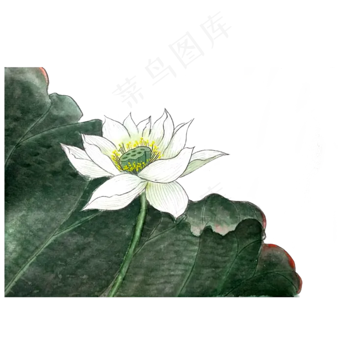 水墨荷花莲花PNG变色荷叶工笔(3000X3000(DPI:300))psd模版下载