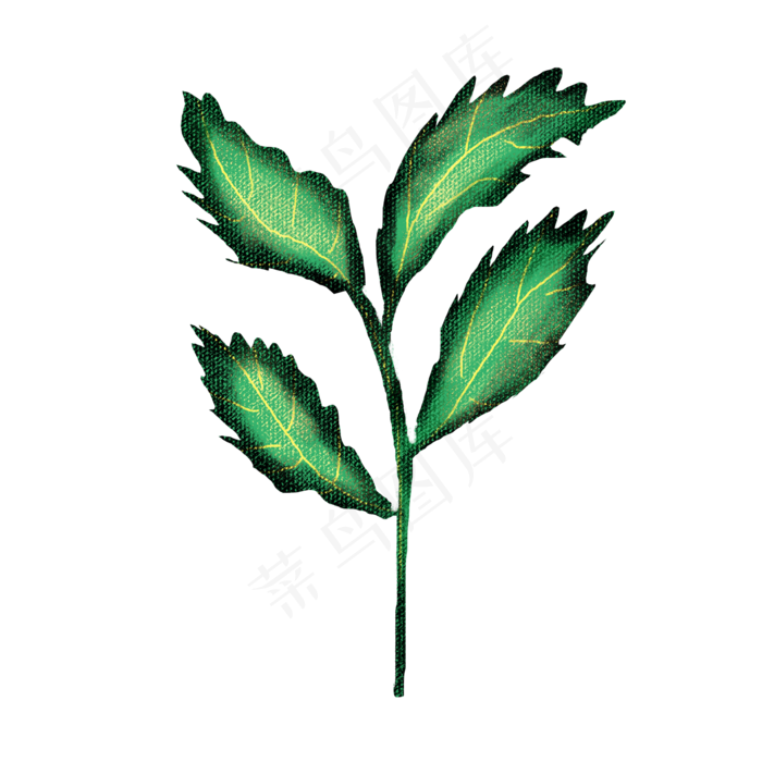 端午节装饰仿真艾草(2000X2000(DPI:300))psd模版下载