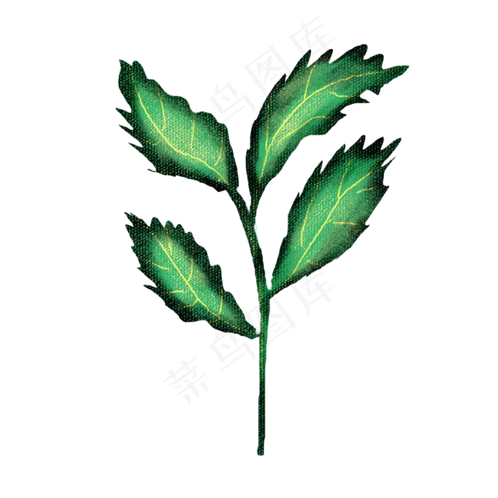 端午节装饰仿真艾草(2000X2000(DPI:300))psd模版下载