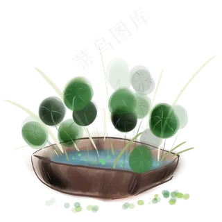 古风国画铜钱草