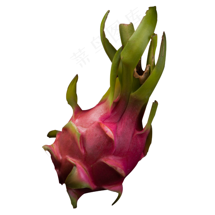 实拍饭后新鲜火龙果水果