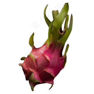 实拍饭后新鲜火龙果水果