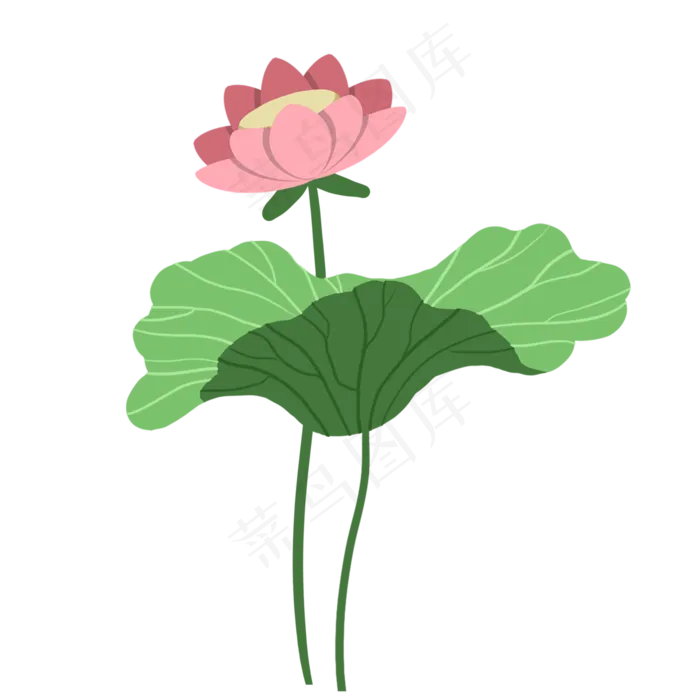 夏日荷花手绘(2000X2000(DPI:300))psd模版下载