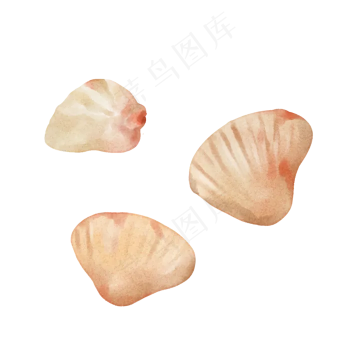 水彩风格海洋动物夏日海滩海螺贝(2000X2000(DPI:299))psd模版下载