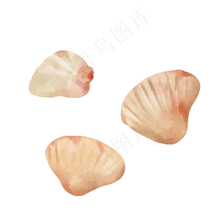 水彩风格海洋动物夏日海滩海螺贝