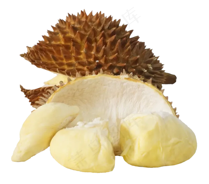 黄色榴莲果肉(2500*2200px 300 dpi )