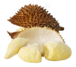 黄色榴莲果肉