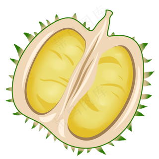 榴莲水果生长健康