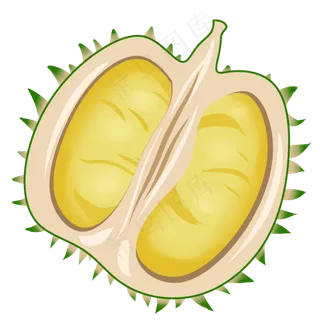 榴莲水果生长健康