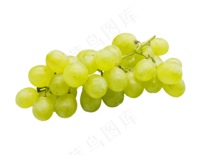 晶莹葡萄实物