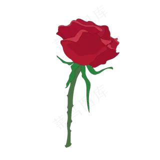 矢量红色玫瑰花png免抠