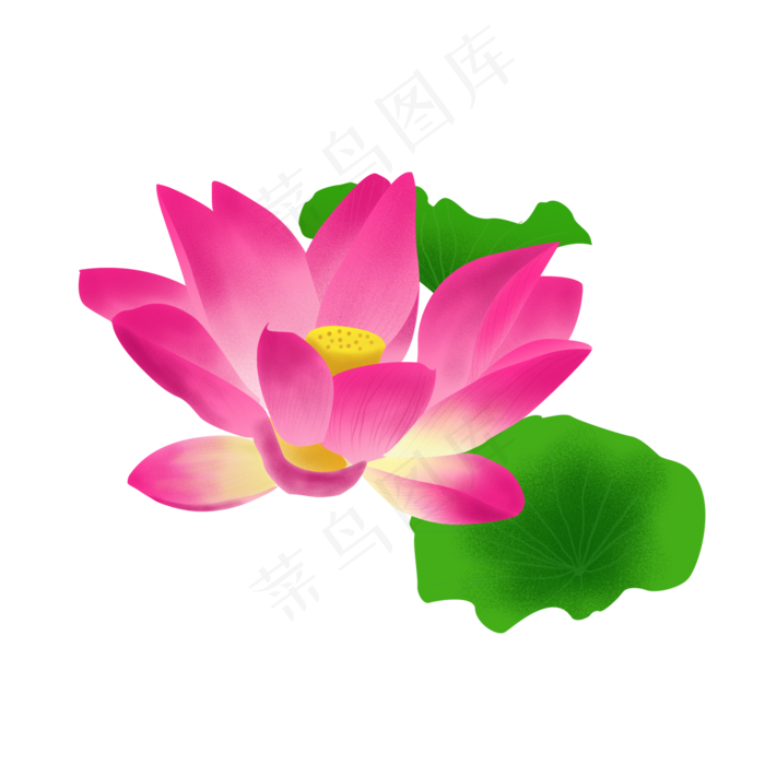 手绘噪点植物插画鲜花荷花荷叶装