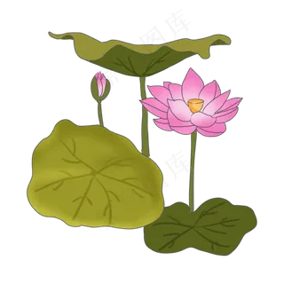 中国风夏日荷塘荷花