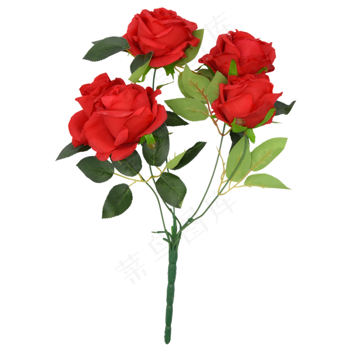 新鲜玫瑰花(2000*2000px 300 dpi )