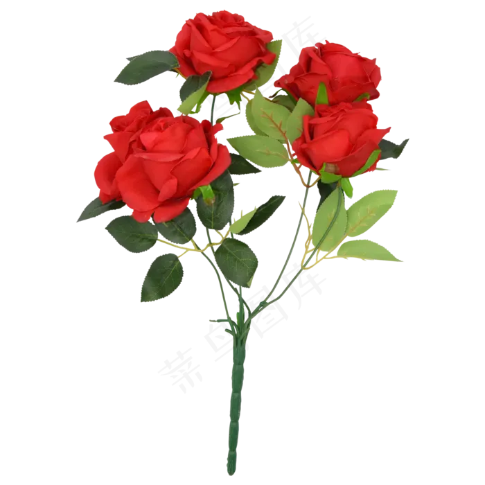 新鲜玫瑰花(2000*2000px 300 dpi )