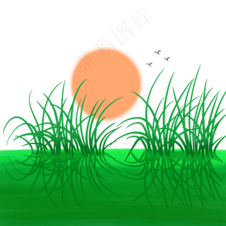 草地绿色植物红日