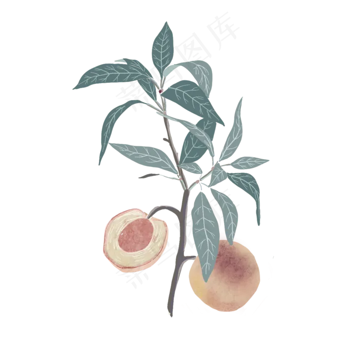 绿色的植物免抠图(1358X543)psd模版下载