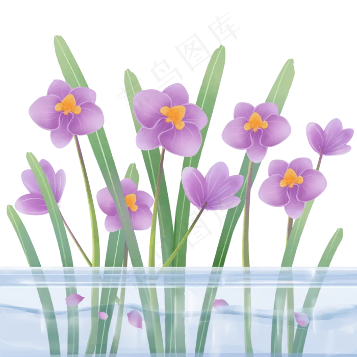 植物科属盆栽蝴蝶兰(2000X2000(DPI:300))psd模版下载
