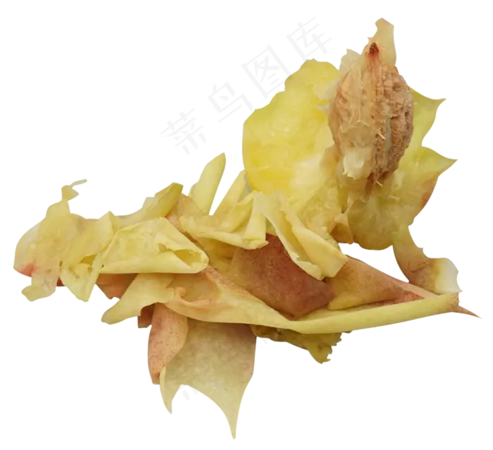 垃圾水果桃核(2875*2619px 300 dpi )