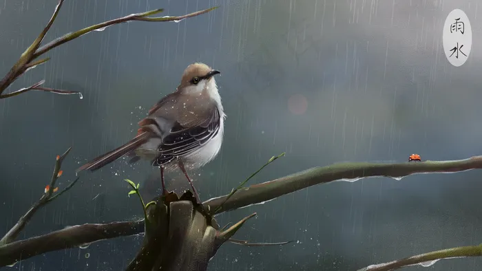 雨水谷雨淋雨的小鸟(3545X5315(DPI:300))psd模版下载