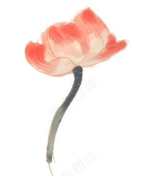 一朵荷花