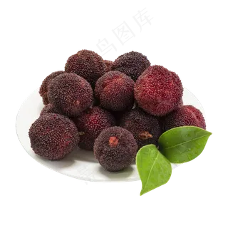 红色新鲜的杨梅