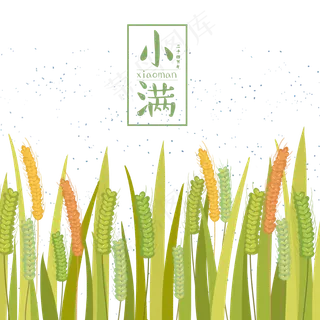 小满节气绿色谷穗