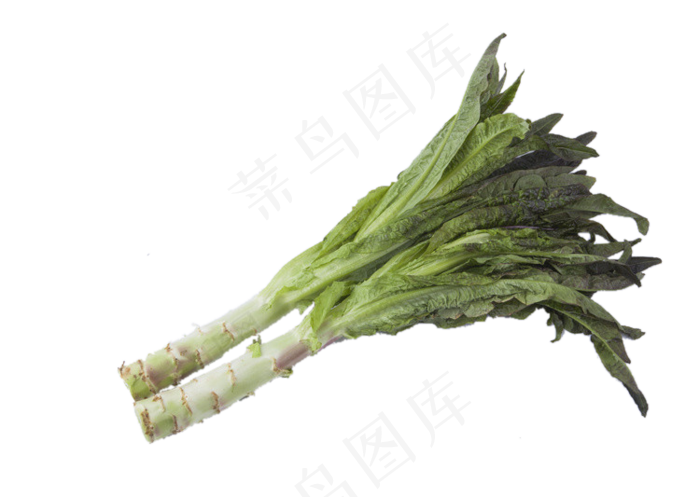滑嫩爽口鲜嫩好吃的莴苣,免抠元素(750X533(DPI:72))psd模版下载