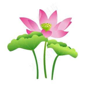 荷花中国风莲花